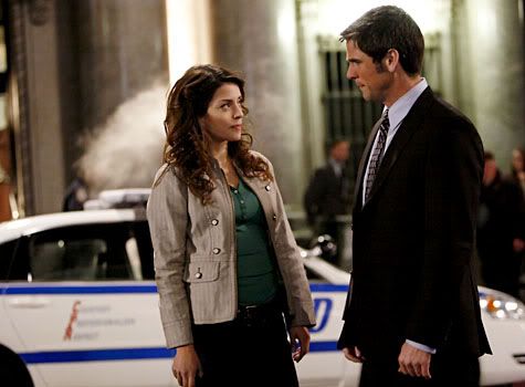 csi-ny135-1.jpg