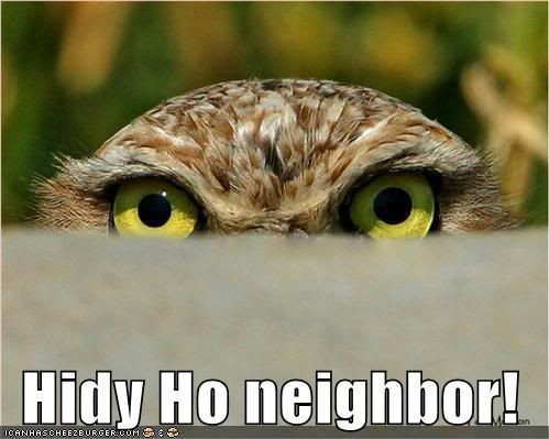 Hidy Ho Neighbor