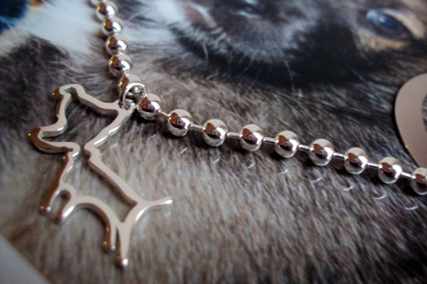 modemoiselle, fashion blogger, jack & co, gioielli, cani