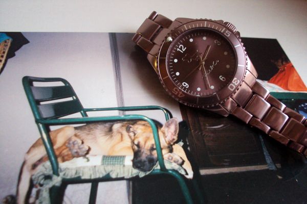 modemoiselle, fashion blogger, jack & co, orologi, cani