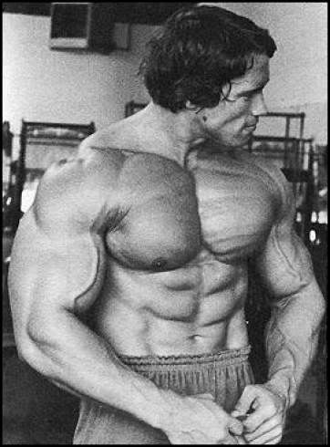 arnold schwarzenegger workout routine. Beginnings arnold workout and