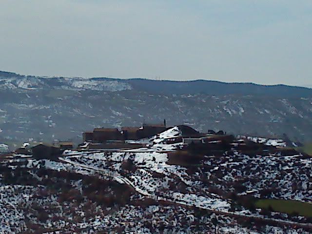 DSC01006.jpg