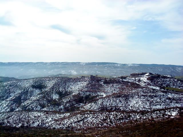 DSC01007.jpg