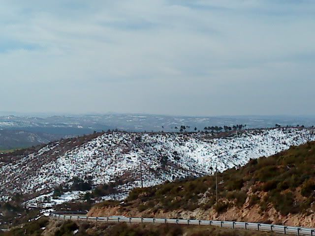 DSC01009.jpg