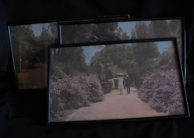 Africana: Pietermaritzburg Botanical Gardens 1920's pictures