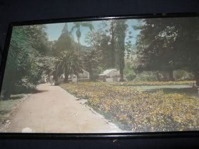 Africana: Pietermaritzburg Botanical Gardens 1920's pictures