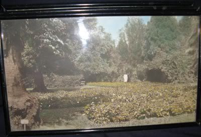 Africana: Pietermaritzburg Botanical Gardens 1920's pictures
