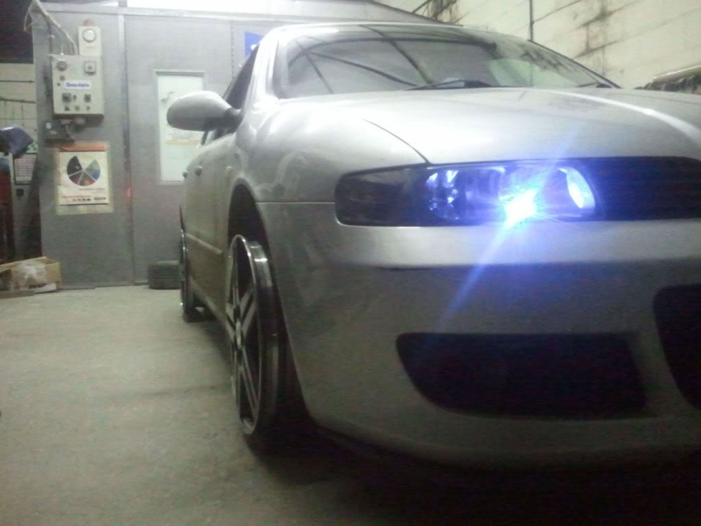 2011-01-29211637.jpg