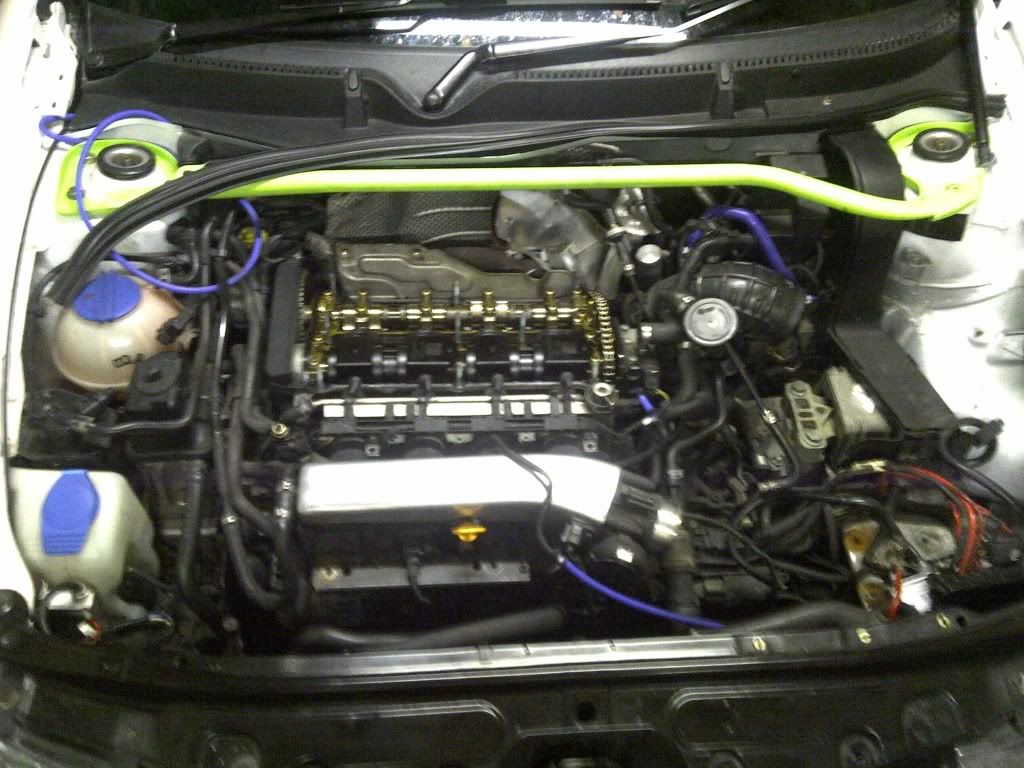 IMG-20111115-00128.jpg