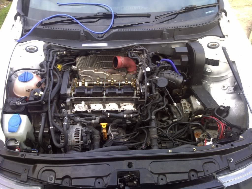 IMG-20111116-00131.jpg