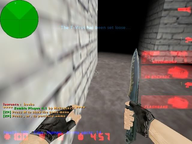de_train0019.jpg