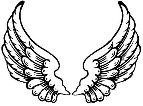 angel wing tattoo Pictures, Images and Photos