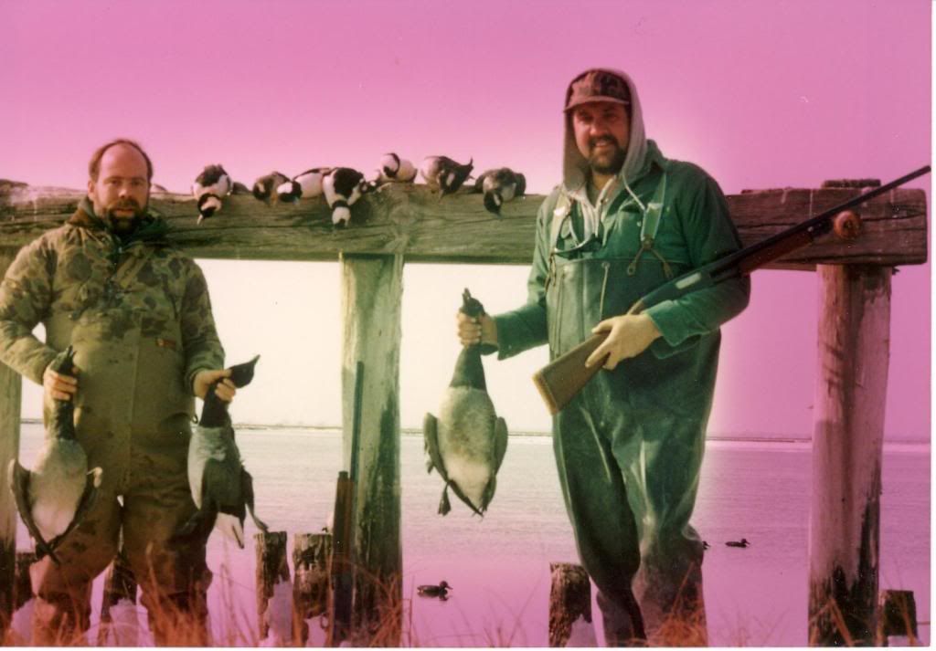 Typical Coastal Hunt Duck Hunting Forum