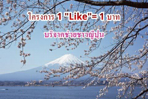 โครงการ1Like=1บาท
