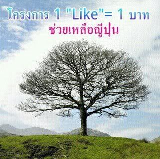 โครงการ1'Like'=1บาท <b>โครงการ1Like=1บาท</b>