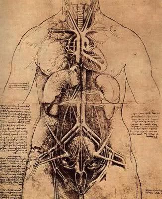 Leonardo Da Vinci Wallpaper. Leonardo Da Vinci Graphics