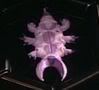220px-Parasite-topview.jpg