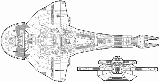 galor-top-back-1.gif