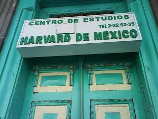 nuevo nuevo