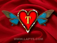 Https Encrypted Tbn0 Gstatic Com Images Q Tbn 3aand9gcsd9e Eun8blhq5ljf2w1a Dqrezaqolstzjg Usqp Cau