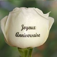 Jean Paul Unternehr S Library Photobucket Jean Paul Unternehr S Library Photobucket