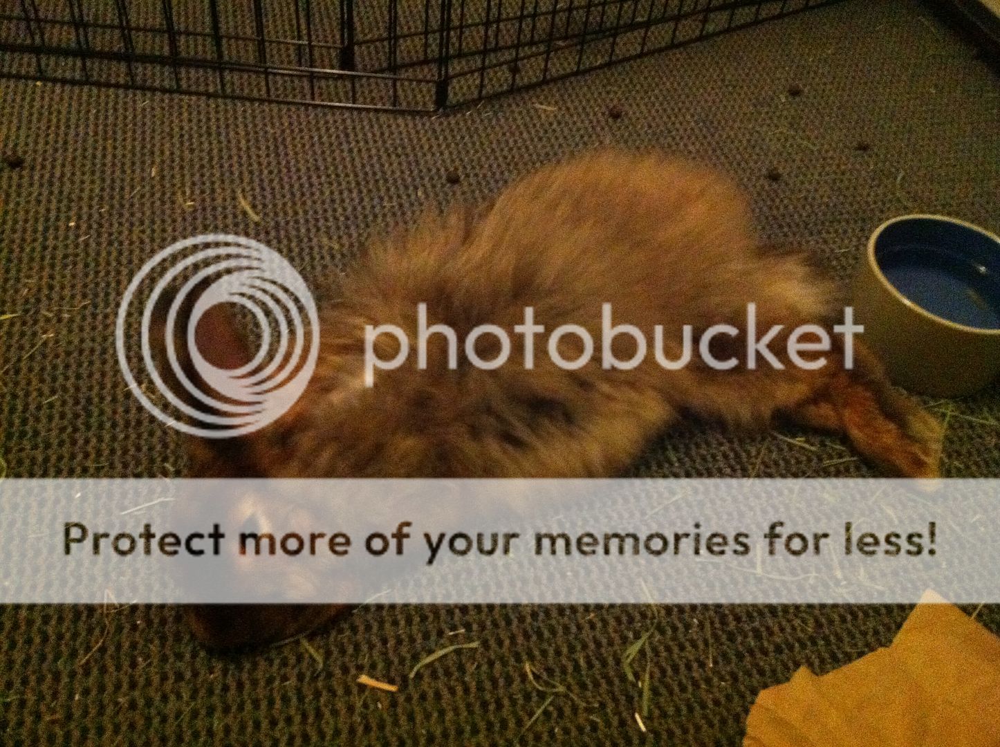 Photobucket Pictures, Images and Photos