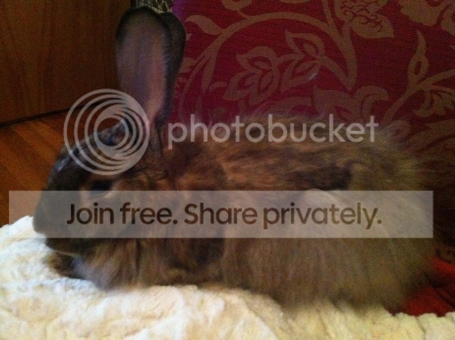 Photobucket Pictures, Images and Photos