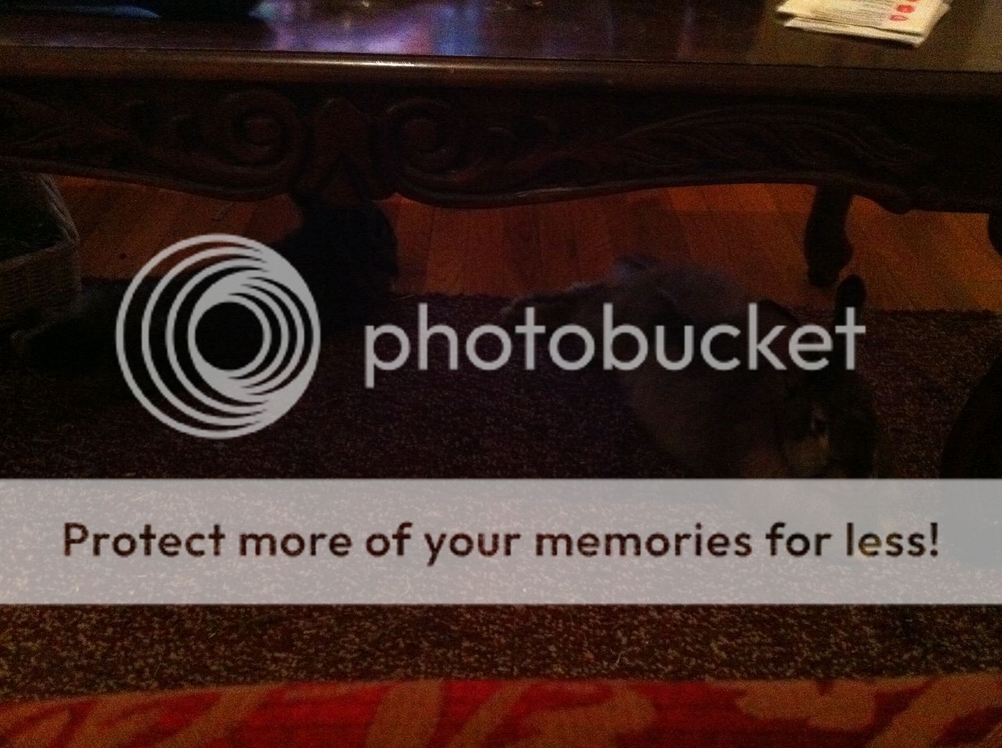 Photobucket Pictures, Images and Photos