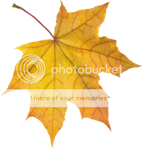  photo autumn_leaves_PNG3571_zpsy8pn1dav.png