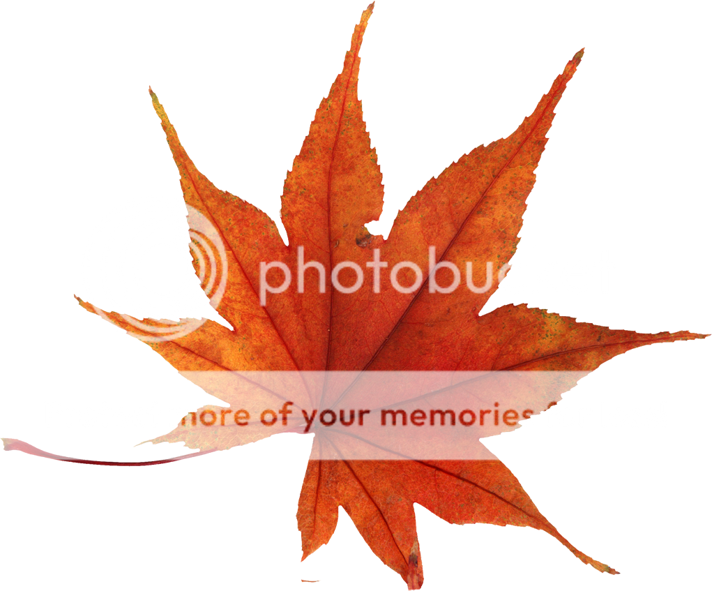  photo autumn_leaves_PNG3582_zpsk1hvz0xy.png